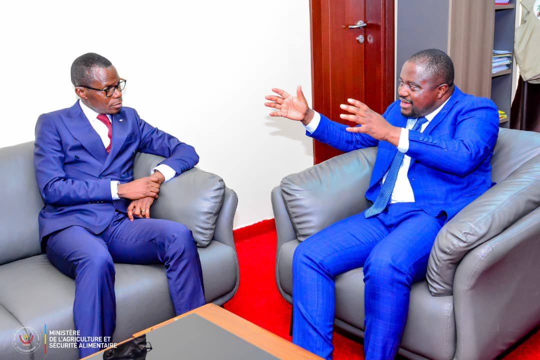 RDC: Vers la reconversion productive des anciens combattants grâce à l’agriculture