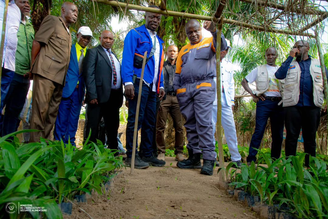 SANKURU : MUHINDO NZANGI au cœur des terres de Lodja pour sceller le pacte des cultures pérennes