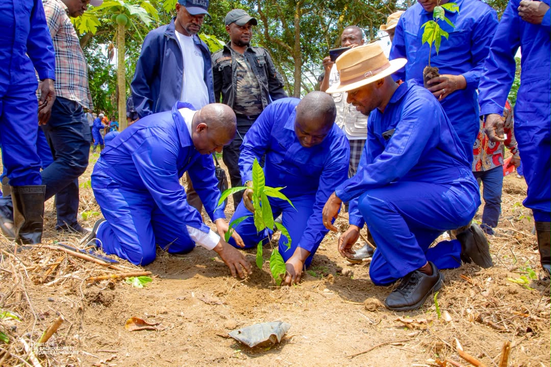 TSHUAPA : Après le Sankuru, MUHINDO NZANGI poursuit son offensive agricole à Boende.
