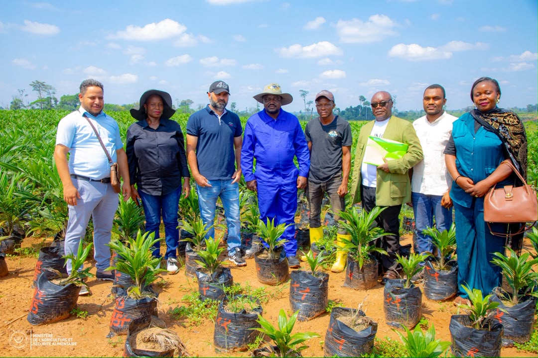 KISANGANI : Plus de 5 000 hectares de palmiers à huile visités ce mardi par le Ministre d’État MUHINDO NZANGI Butondo chez CAP Congo ​